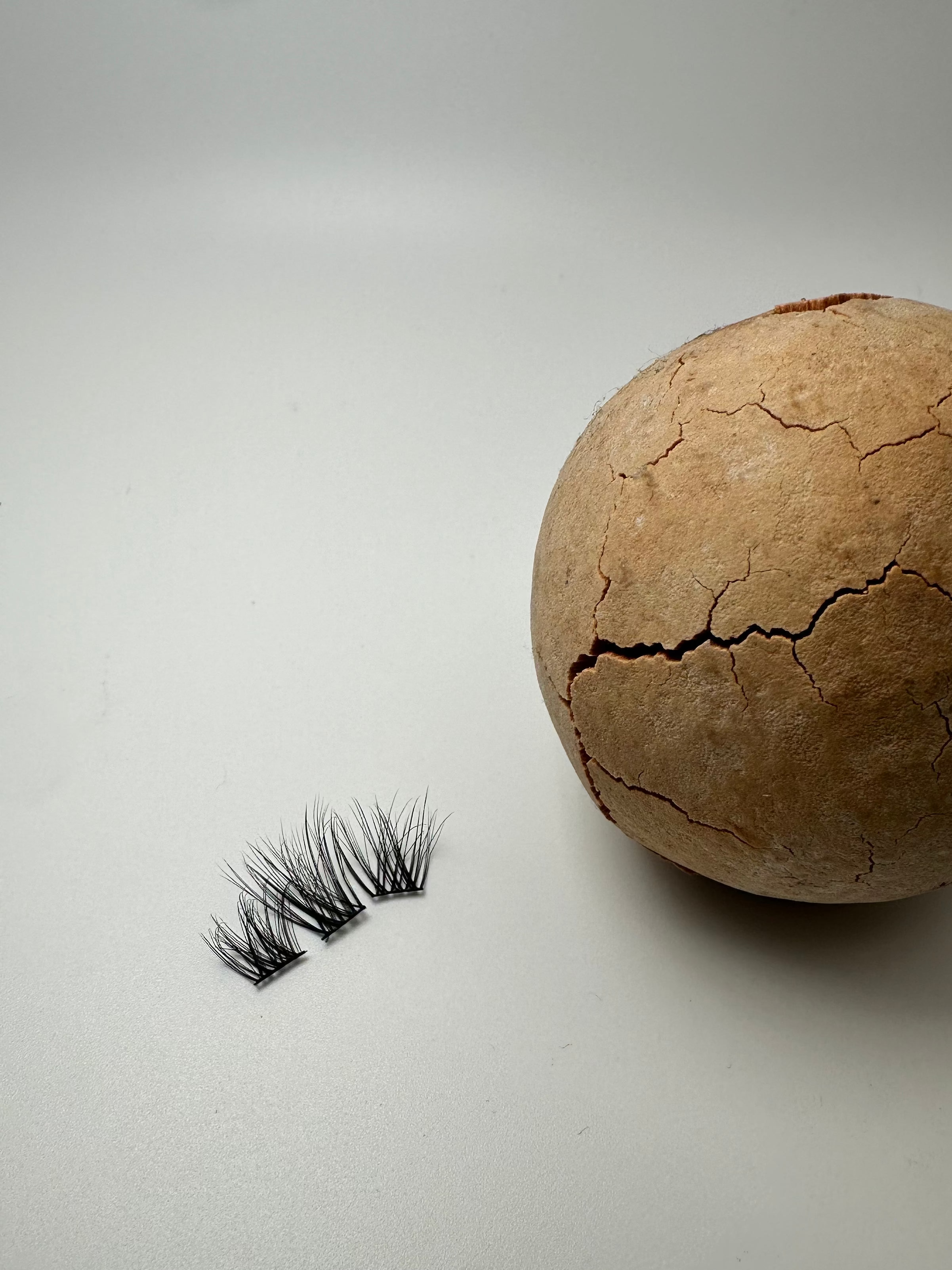 Cracked brown coconut next to a pair of false eyelashes on a light gray background