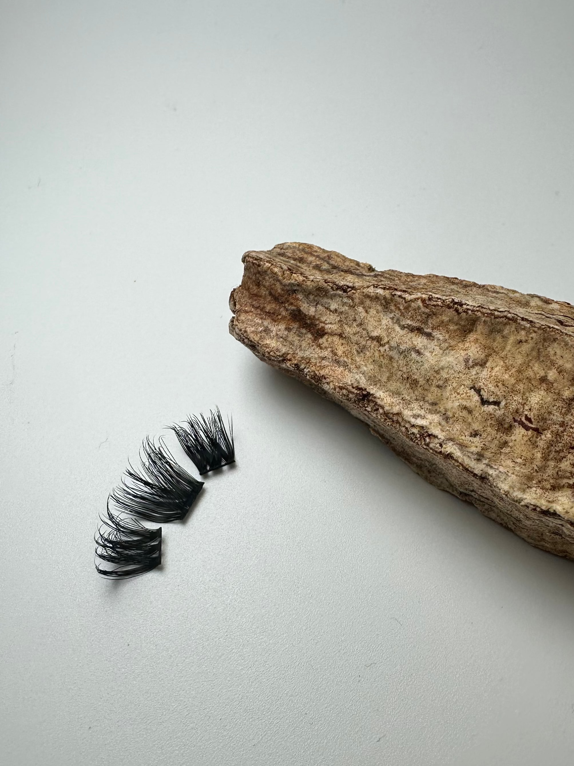 Large piece of driftwood with a single false eyelash on a light gray background