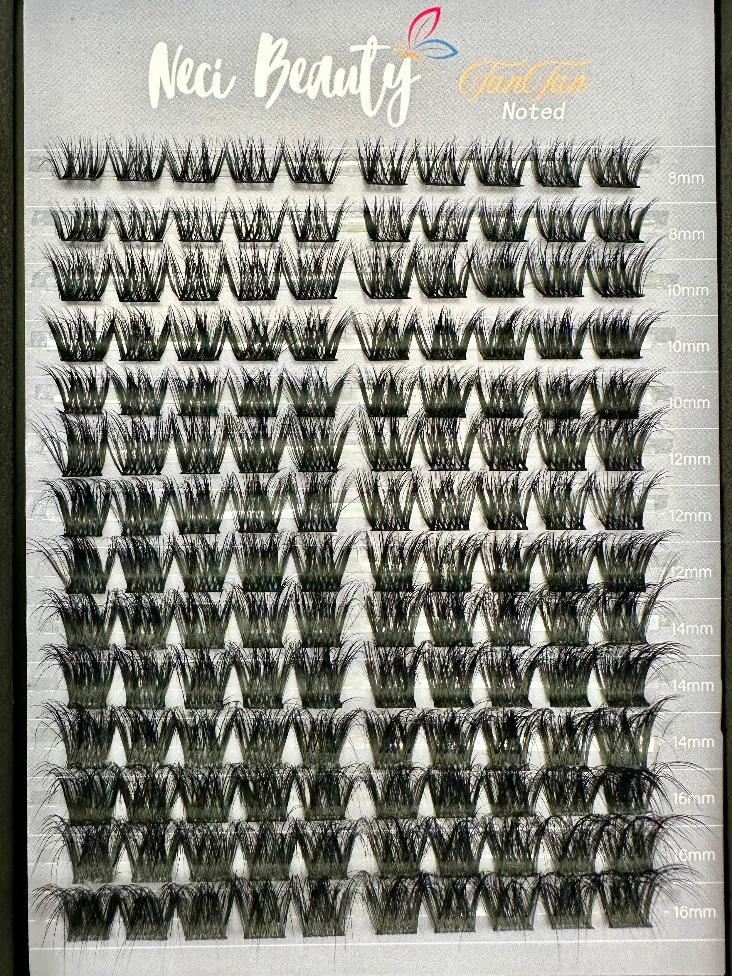 Neci Beauty false eyelashes display with labeled sizes on a gray background