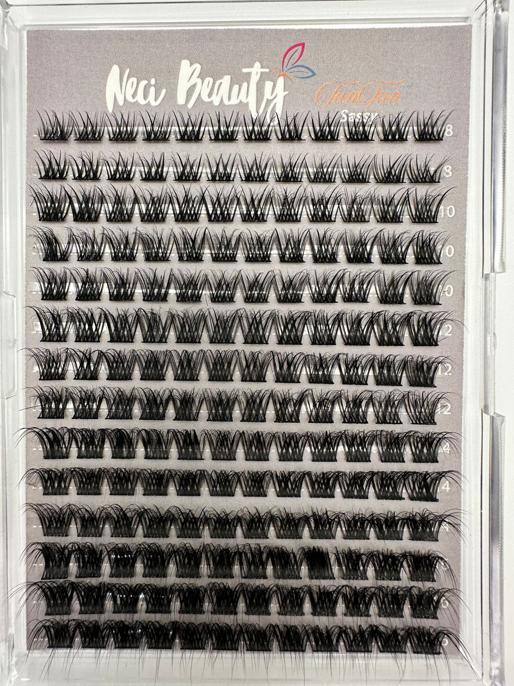 Sassy Set of false eyelashes in a clear plastic case with 'New Beauty' branding.