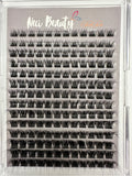 Sassy Set of false eyelashes in a clear plastic case with 'New Beauty' branding.