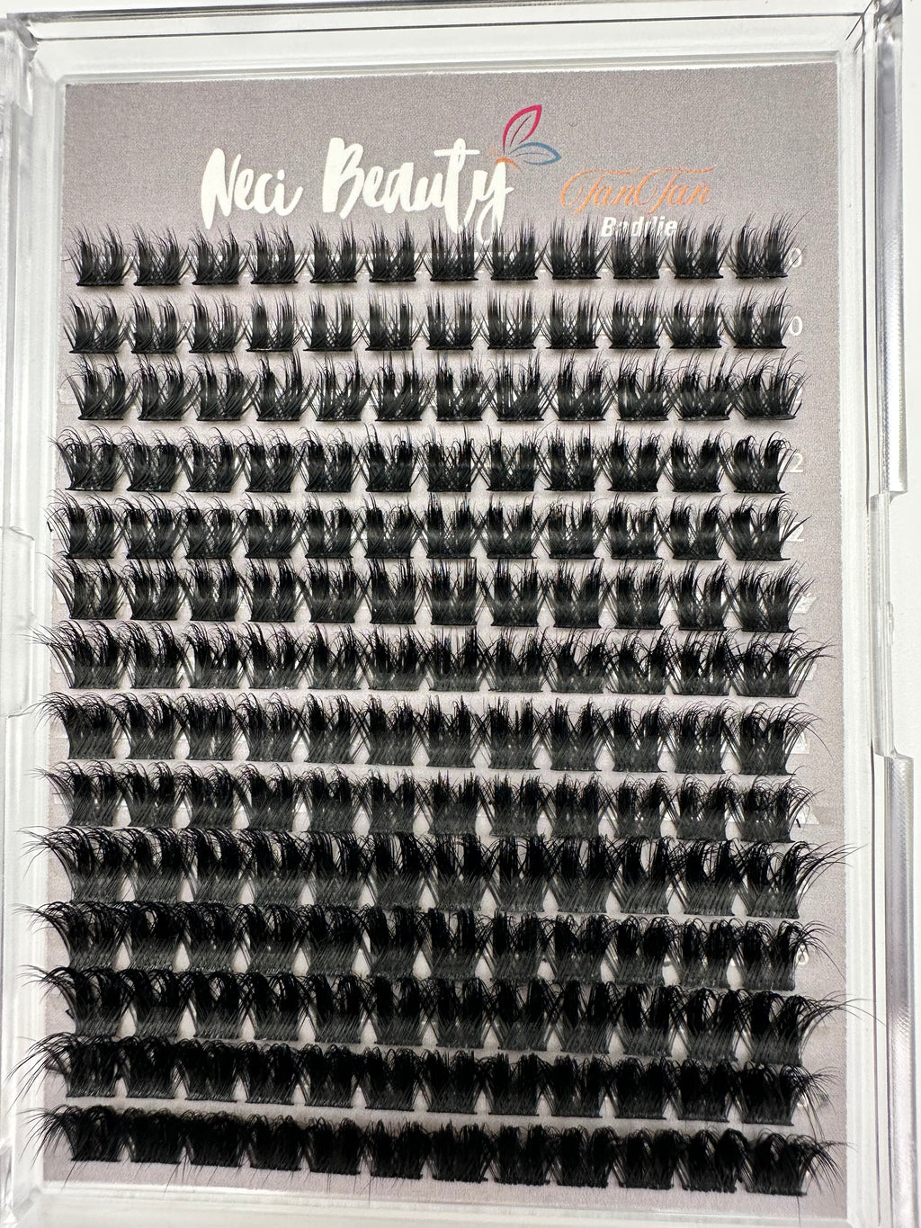 Set of false eyelashes in a clear case with 'Neci Beauty' branding.